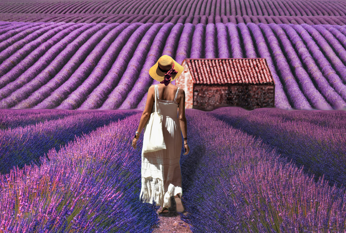 le cabanon provencal Poster och Canvastavla