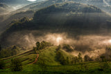 Morning fog Poster och Canvastavla