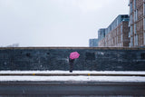The pink umbrella Poster och Canvastavla