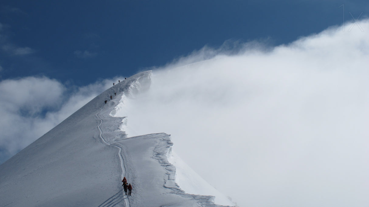 Cold Summit Poster och Canvastavla