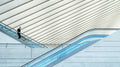 the escalators Poster och Canvastavla