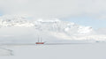 Peaceful  journey Poster och Canvastavla