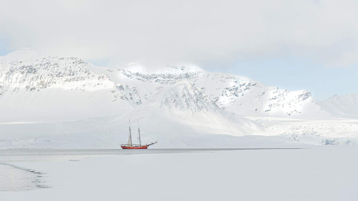 Peaceful  journey Poster och Canvastavla