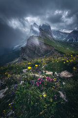 Dolomites - Seceda 2500 Poster och Canvastavla