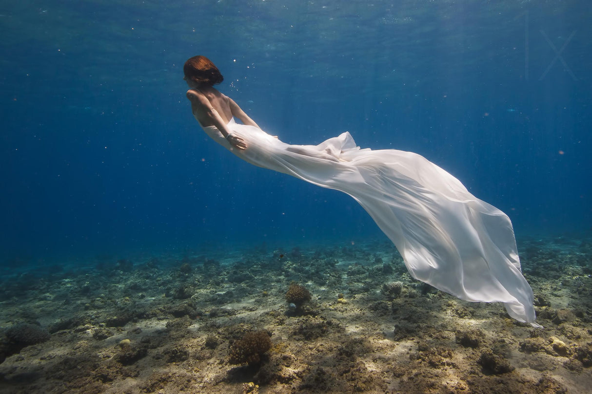 White Dress Poster och Canvastavla