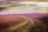 Long way home Poster och Canvastavla