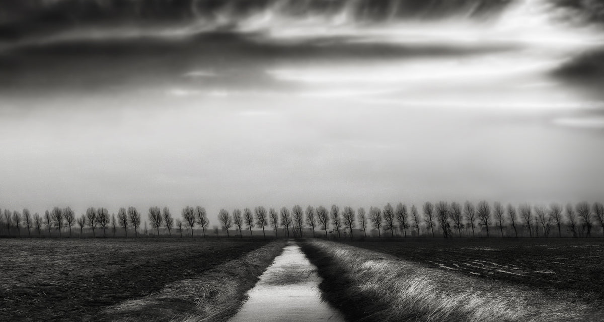 Polder beauty Poster och Canvastavla