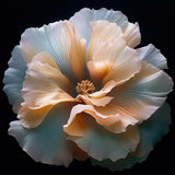 Delicate Flowers 12 Poster och Canvastavla