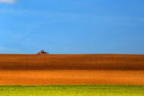The Tractor Poster och Canvastavla