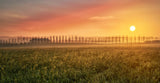 La luz de cada amanecer... Poster och Canvastavla