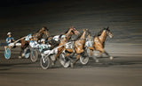 Horseracing Poster och Canvastavla