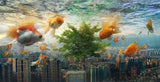 Fish Tank Poster och Canvastavla