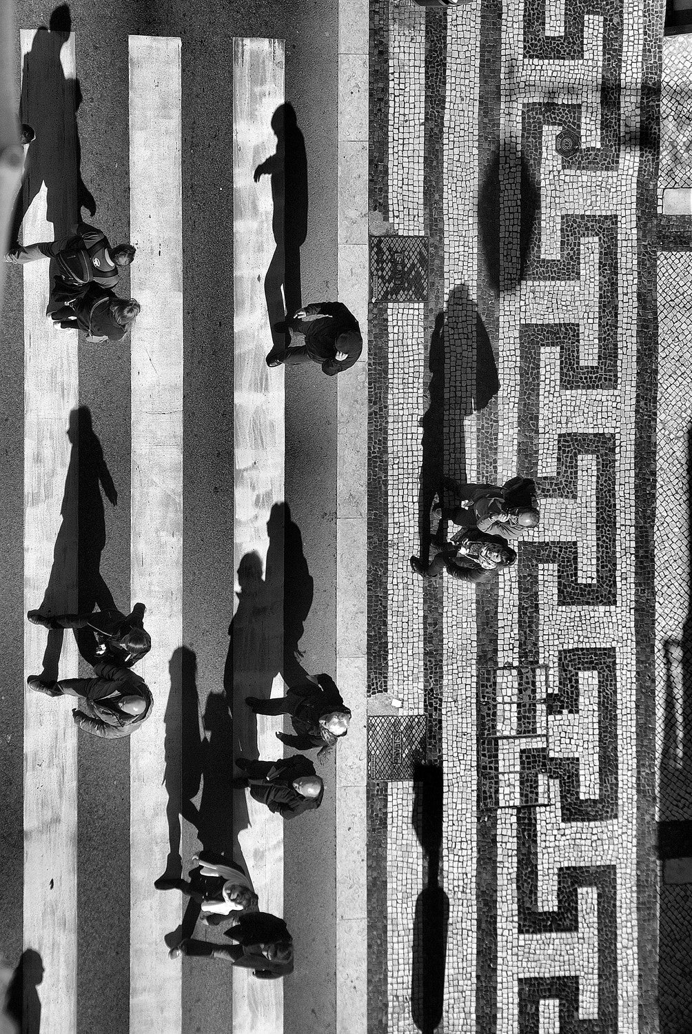 Shadows Crossing Poster och Canvastavla