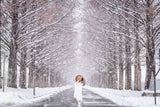 Snow street Poster och Canvastavla