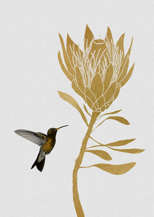 Hummingbird & Flower I Poster och Canvastavla