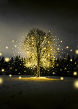 Tree Life Poster och Canvastavla