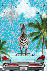Zebra California Dream Poster och Canvastavla