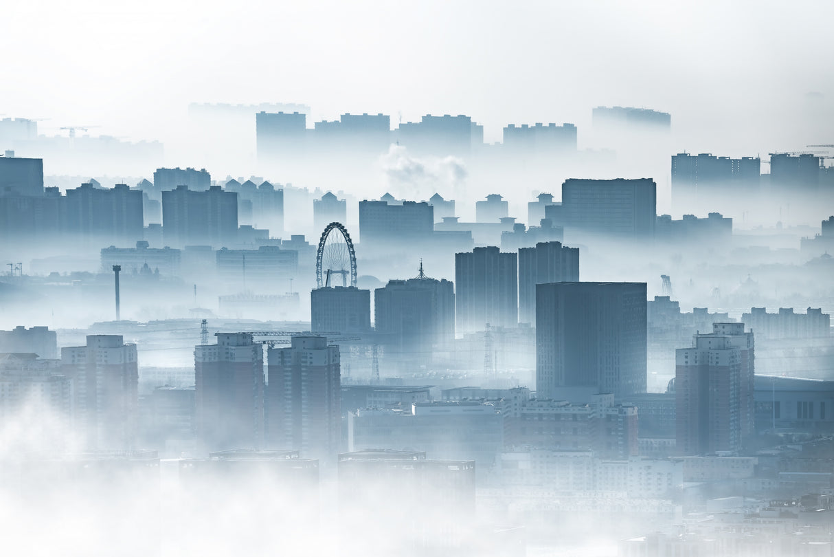The city of fog Poster och Canvastavla