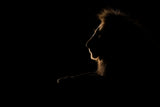 A Silhouette of The King Poster och Canvastavla
