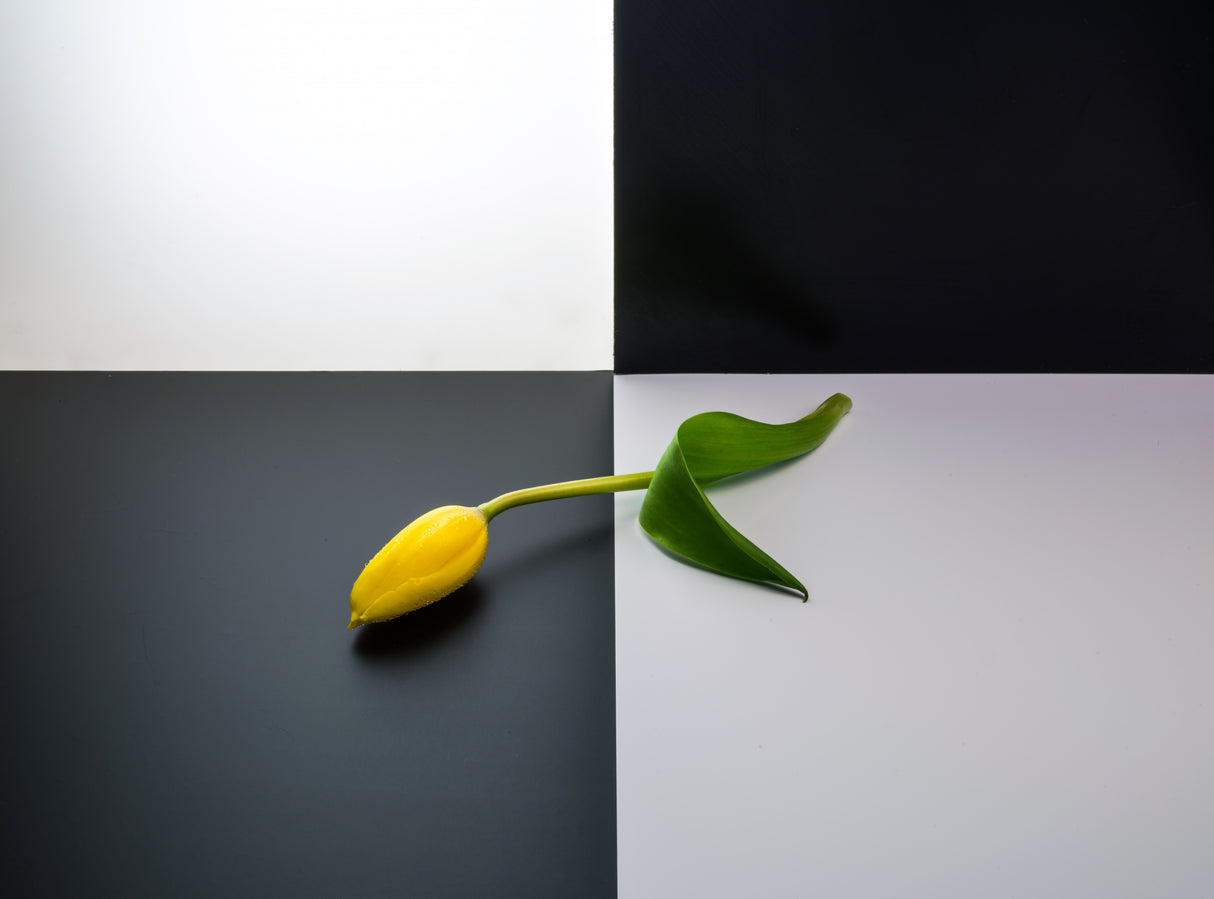 Flower Poster och Canvastavla