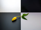 Flower Poster och Canvastavla