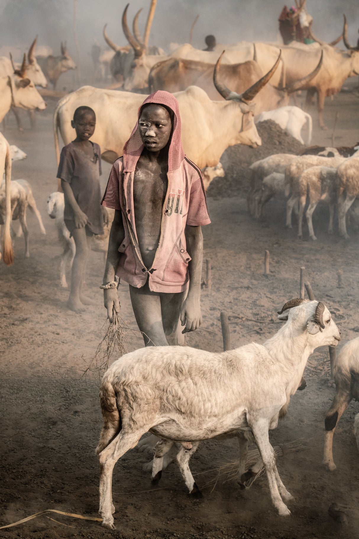 Young shepherd Poster och Canvastavla