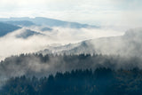 Early morning at Morvan Poster och Canvastavla