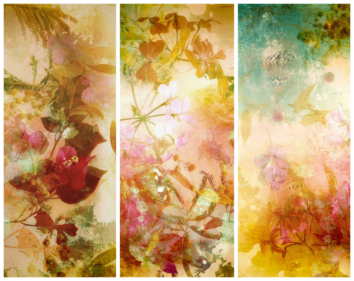 Flower abstractions  with mimosa, shells ,bougainvillea  floating in water.. Trilogy . Poster och Canvastavla