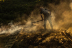 Charcoal factory I Poster och Canvastavla