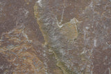 Tex Surface S18 Poster och Canvastavla