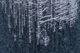 Downpour Poster och Canvastavla