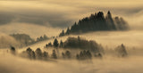 Pieniny foggy Poster och Canvastavla
