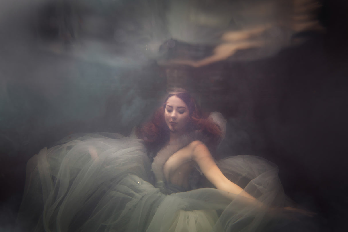 Underwater dream Poster och Canvastavla