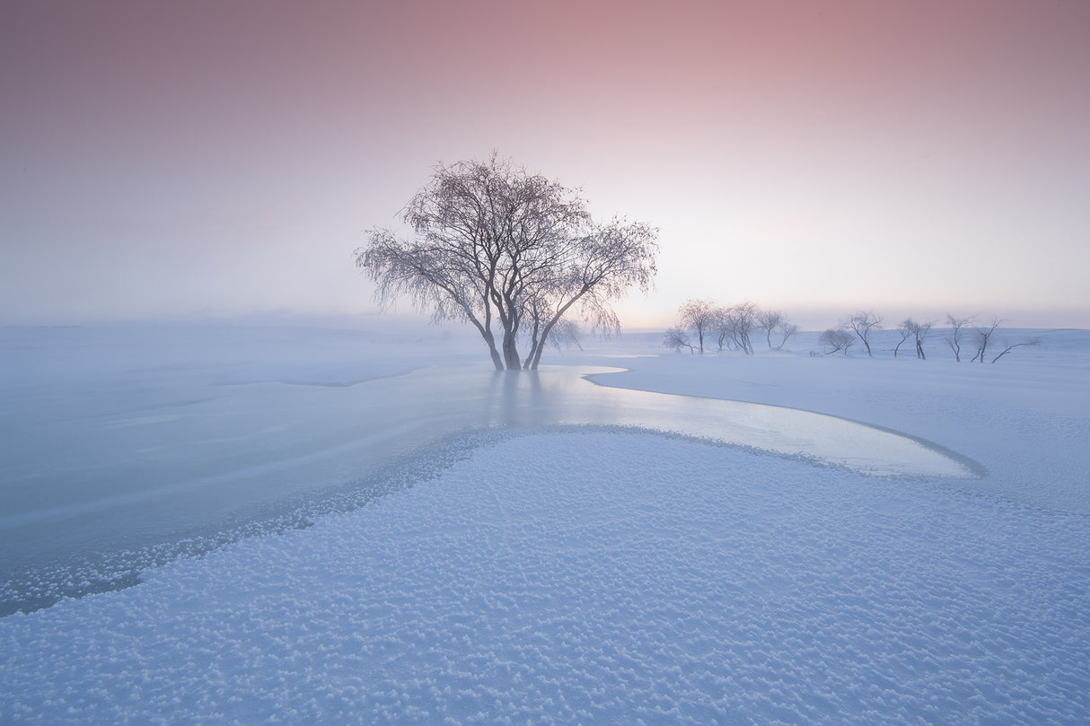 The winter Poster och Canvastavla