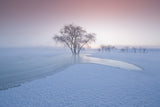 The winter Poster och Canvastavla