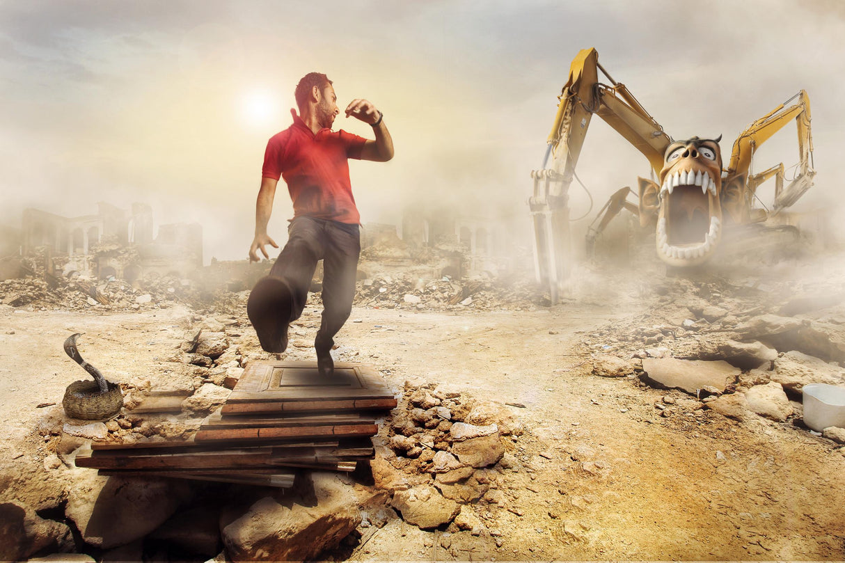 The Destructive Poster och Canvastavla