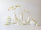 Orchids and Grapes Poster och Canvastavla