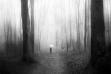 A Walk Through Yesterday Poster och Canvastavla