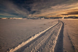 Snow Tracks Poster och Canvastavla