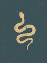 Snake Poster och Canvastavla