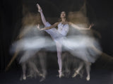 Art of Ballet Poster och Canvastavla