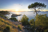 Mediterranean sunset Poster och Canvastavla
