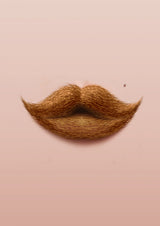 Moustache Kiss Poster och Canvastavla