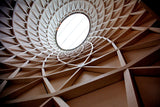 The view upwards Poster och Canvastavla