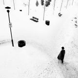 Snow walker Poster och Canvastavla