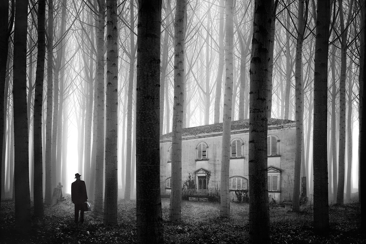 THE HOUSE Poster och Canvastavla