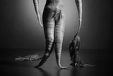 Let me see you stripped Poster och Canvastavla