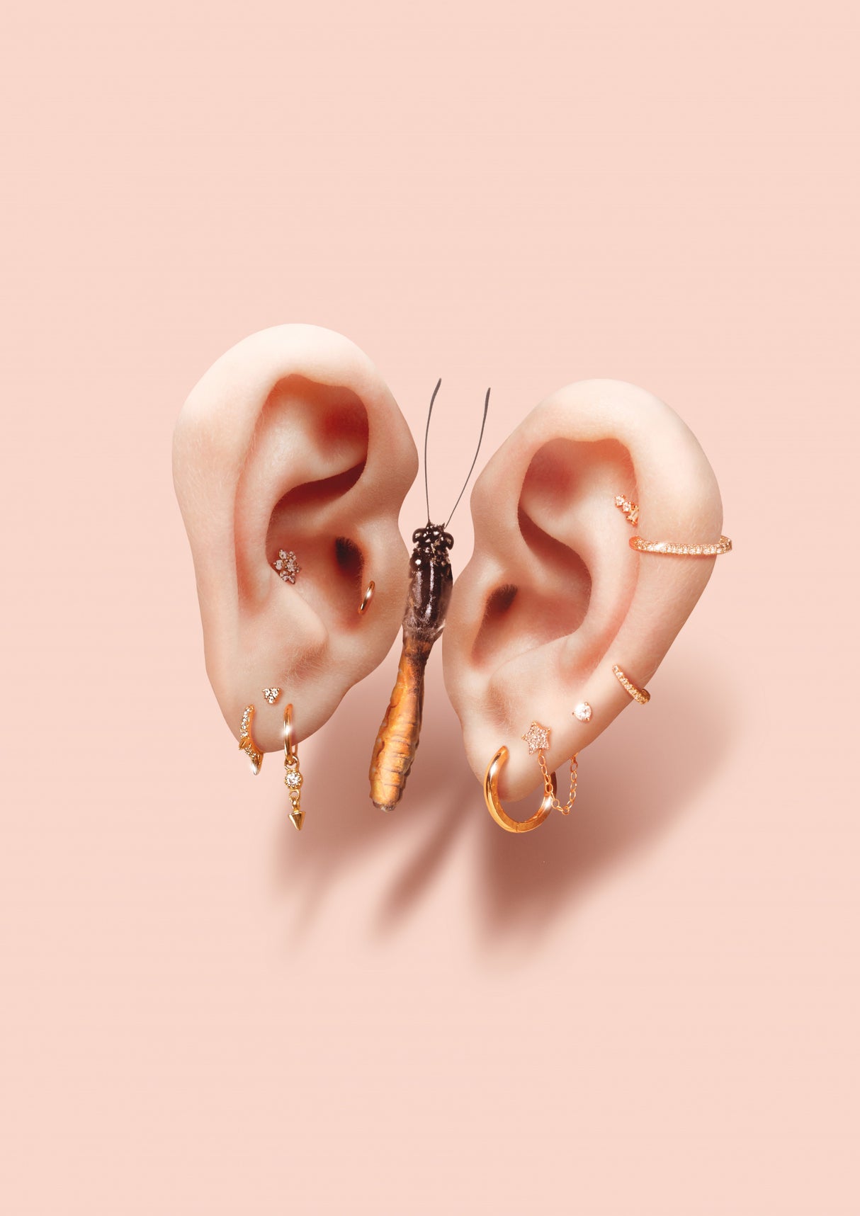 Butterfly Ears Poster och Canvastavla