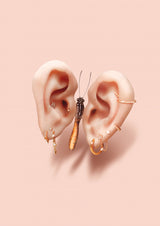 Butterfly Ears Poster och Canvastavla