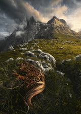 "Majestic Giants" Poster och Canvastavla